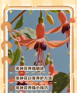 吊钟花怎么水养，掌握正确方法，轻松延长花期