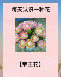树杆防治，常见问题，实用方法