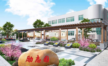 花椒树春夏病虫害防治，识别常见问题，掌握应对技巧