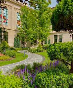 枸杞树病虫害的防治方法，识别常见问题，掌握应对技巧