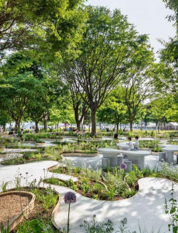 枸杞树病虫害的防治方法，识别常见问题，掌握应对技巧