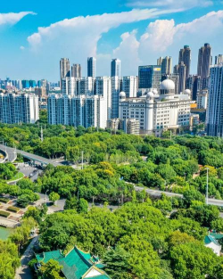 芝麻栽培，选对品种，掌握关键技巧