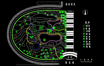 花椒树用什么药防治黄叶，找准原因再下手，别急着乱用药