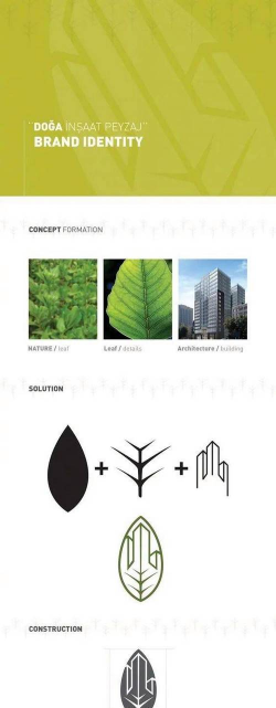 缘罗花怎么养，掌握关键技巧，轻松培育健康植株