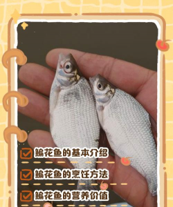 缘罗花怎么养，掌握关键技巧，轻松培育健康植株