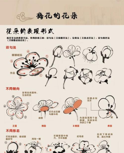 怎么现在还有梅花