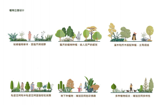 室内绿化装饰设计论文，探讨植物搭配，提升空间美感