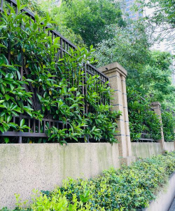 小区绿化景观设计，提升居住品质，打造舒适环境