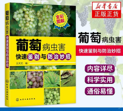 五味子栽培，选对品种，掌握关键技巧