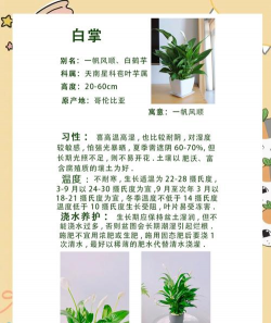 无土栽培论文，研究热点分析，写作思路分享