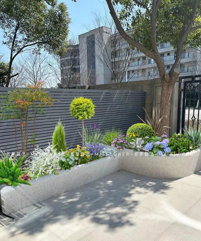 缘罗花怎么养，掌握关键技巧，轻松培育健康植株