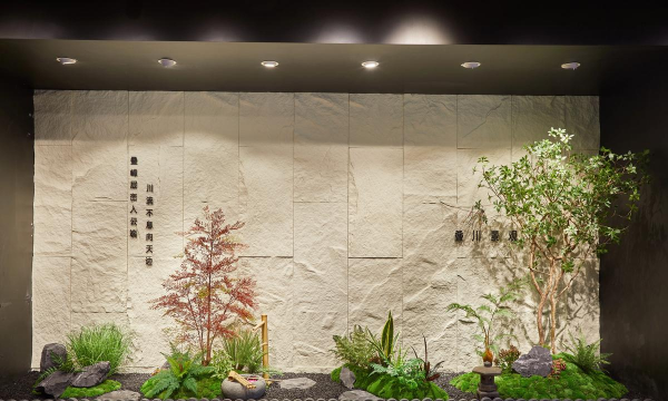 缘罗花怎么养，掌握关键技巧，轻松培育健康植株