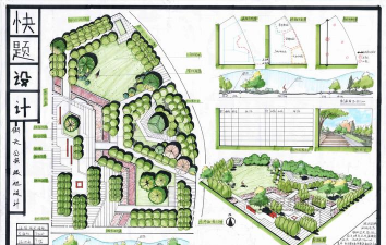 金钱树怎么栽培，掌握关键技巧，轻松养活它