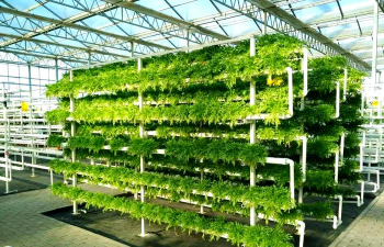 无土栽培设施，提升种植效率，实现绿色农业