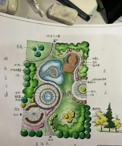 金钱树怎么栽培，掌握关键技巧，轻松养活它