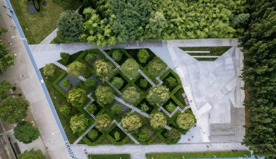 黄瓜的栽培技术，掌握关键步骤，轻松收获果实