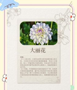 枸杞树病虫害的防治方法，识别常见问题，掌握应对技巧