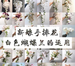 枸杞树病虫害的防治方法，识别常见问题，掌握应对技巧