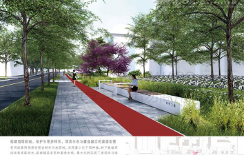 金钱树怎么栽培，掌握关键技巧，轻松养活它