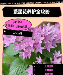 树杆防治，常见问题，实用方法