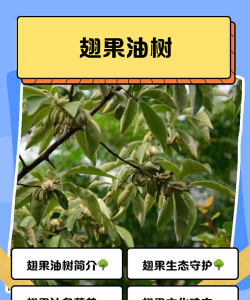 树杆防治，常见问题，实用方法