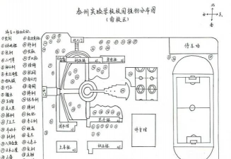 树杆防治，常见问题，实用方法