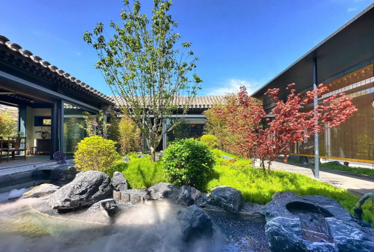 树杆防治，常见问题，实用方法