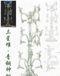 枸杞树病虫害的防治方法，识别常见问题，掌握应对技巧