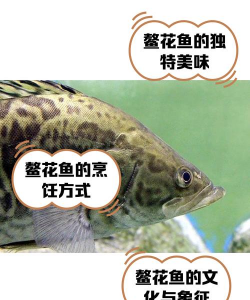 无土栽培论文，研究热点分析，写作思路分享