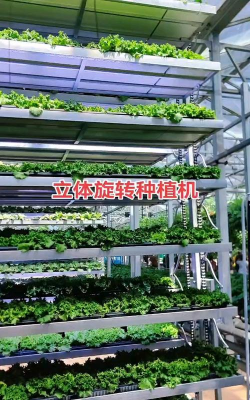 无土栽培论文，研究热点分析，写作思路分享