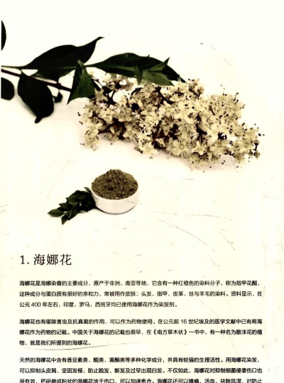 海娜花怎么养，新手入门指南，轻松掌握养护技巧