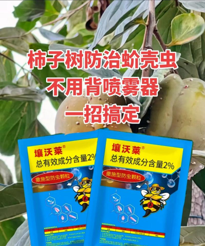 无土栽培论文，研究热点分析，写作思路分享