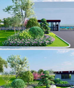 太阳花怎么养在水中，掌握正确方法，轻松水培成功