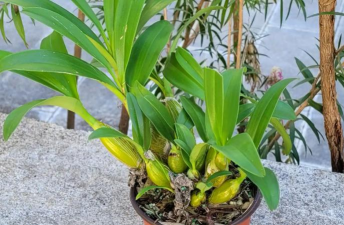 小区绿化景观设计，提升居住品质，打造舒适环境