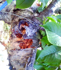 小区绿化景观设计，提升居住品质，打造舒适环境