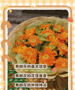 小区绿化景观设计，提升居住品质，打造舒适环境