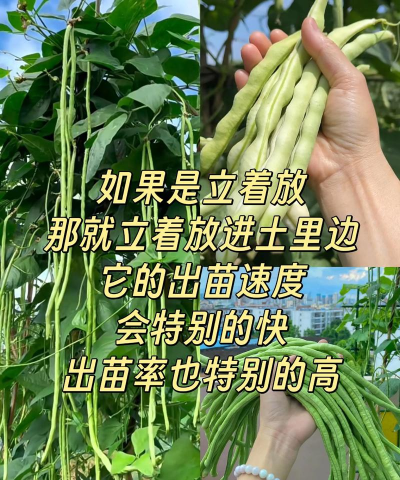 小区绿化景观设计，提升居住品质，打造舒适环境