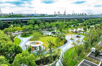 树杆防治，常见问题，实用方法