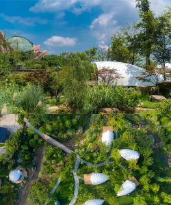 常州园林绿化设计，提升城市美感，打造宜居环境