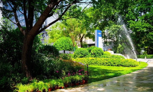 树杆防治，常见问题，实用方法