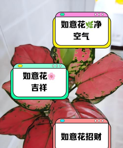 树杆防治，常见问题，实用方法