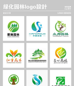 金钱树怎么栽培，掌握关键技巧，轻松养活它