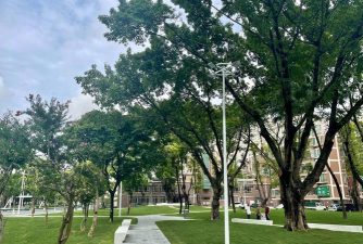 黄瓜的栽培技术，掌握关键步骤，轻松收获果实