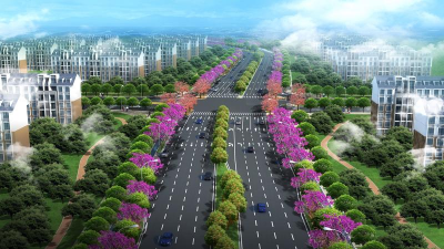 道路绿化规划设计，提升城市形象，改善生态环境