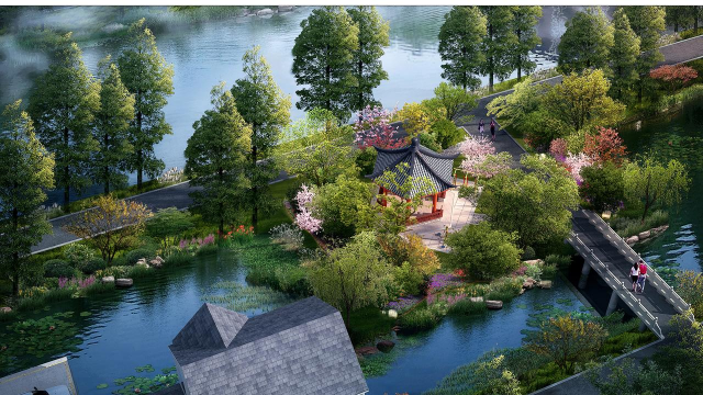 龙花怎么养，掌握关键技巧，轻松养出好状态