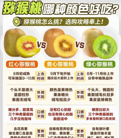 龙花怎么养，掌握关键技巧，轻松养出好状态