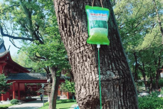 咸阳古树病虫防治研究所,专业保护古树,解决病虫困扰 咸阳古树病虫防治研究所,专业保护古树,解决病虫困扰