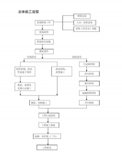 番茄树病毒防治，识别症状，科学应对