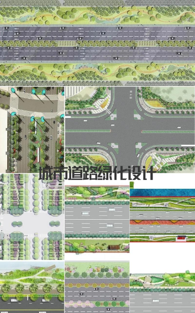 黄瓜的栽培技术，掌握关键步骤，轻松收获果实