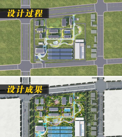 黄瓜的栽培技术，掌握关键步骤，轻松收获果实